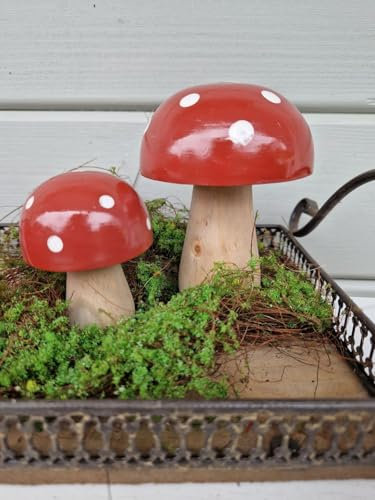 Arinosa Deko Pilze Holz Pinie 2 Stück Rot 6x8 und 9x12cm Herbstdekoration
