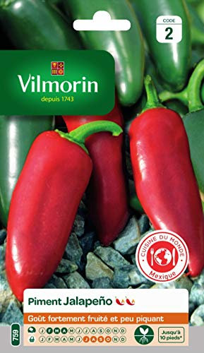 Vilmorin - Piment Jalapeno - d'origine Mexicaine - Goût Fortement fruité et Peu piquant - Note 5/10 sur l'échelle de Scoville, Verts