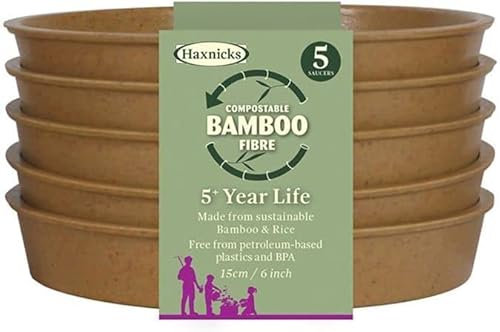 Garden Bamboo Seed Trays Pots & Saucers Sage Green or Terracotta indoor outdoor Greenhouse Compostable Bamboo Fibre Plastic Free 5 Year life (5 Terracotta Saucers)