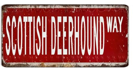 Cartello in metallo personalizzato con cervo scozzese rosso vino rosso da appendere cartelli per la casa con nome animale domestico decorazione da parete stradale personalizzata cartello in metallo