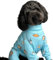 Spark Paws Hundepyjama, ultraweich und 4-Wege-Stretch, Erholungsanzug nach Operation, Schlafanzug Onesie für Kleine, Mittlere und Große Hunde - Breakfast Blue - M