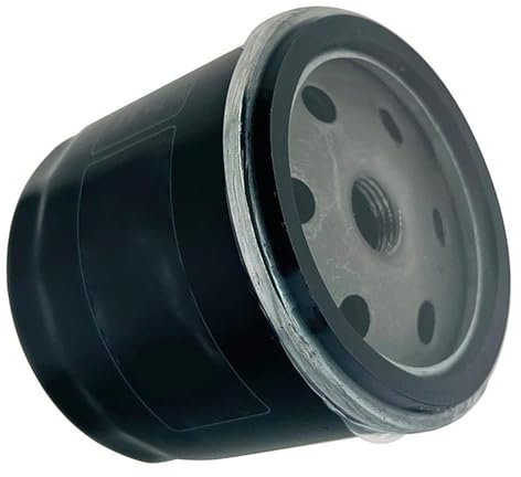 TGVSELPJ Accessori Filtro Moto Elemento di Ricambio 1PCS Filtri Olio per Ducati 800 per Scrambler per Icon 2015 2016 2017 2018 2019