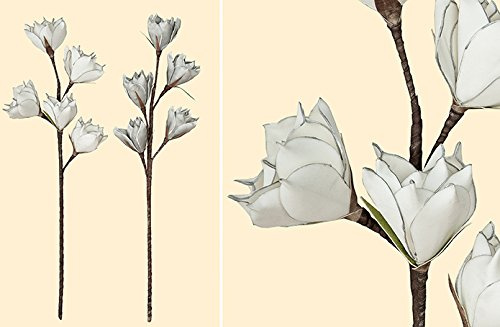 GILDE Deko Tulpen-Magnolie 5 Blüten weiß, Rand Silber + grau/Rand Weiss cm cm H= 70cm cm
