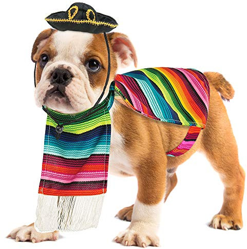 Skeleteen Mexikanisches Serape-Hundekostüm – Cinco de Mayo Poncho und Sombrero Kostüme für Haustiere (Größe L) – kleine Rassen, mehrfarbig