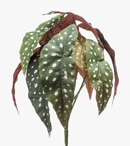 artplants.de Fake polka dot begonia ELISEIA on spike, green-white, 12/30cm - Artificial plants/False polka dot begonia