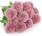 Floweroyal Künstliche Chrysanthemen-Kugeln, Blumen, Seide, Hortensien, Brautstrauß für Zuhause, Garten, Party, Büro, Kaffeehaus, Dekoration, Violett, 12 Stück