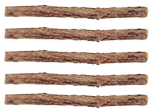 Catnip Silvervine Sticks Cat Treat Matatabi Stick Cat Teeth Cleaning stick Rod with Pure Natural Catnip small animal Molar Toothpaste Stick Pet Cat Dental Treat Chew Toy (Diameter 0.6-1.3cm , 5pcs)