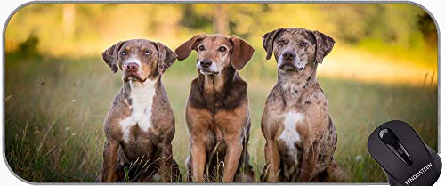 Langes XXL-Mousepad, Jagdhund-Tier-Mauspads mit genähten Kanten