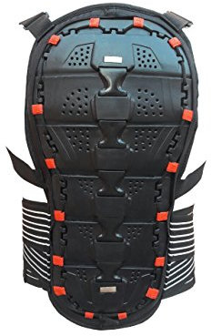 EVO Motocross Spine Back Protector Motorcycle Motorbike Protection Body Armour Racing Skiing ATV Guard Back Support (Large)