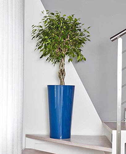 Euro3plast 2785.T4 Pflanztopf mit Einsatz Tuit Durchmesser 33 cm, Petrol-blau