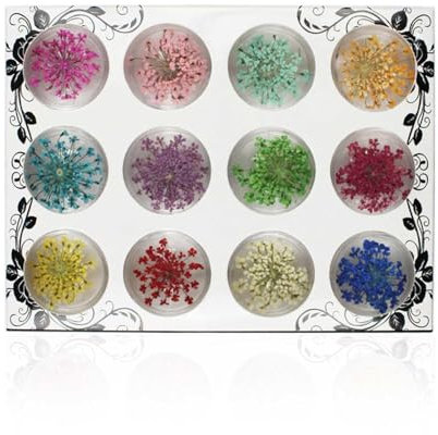 WJUAN 12 Farben Nagel Getrocknete Blumen mit Transparenter Box, Dried Nail Art Flowers, Getrocknete Blüten zum Nageldekorationen, Schmuck, Handyhüllen, Sammelalben