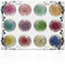 WJUAN Dried Flowers Nail Art 12 Farben, Nagel Getrocknete Blumen mit Transparenter Box, Dried Nail Art Flowers, Getrocknete Blüten zum Nageldekorationen, Schmuck, Handyhüllen, Sammelalben