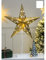 LED Weihnachtsstern mit Fuß Tischlampe - 66 x 45 cm - Batteriebetrieben mit 10 warmweißen LEDs - Goldfarbig Perfekt für stimmungsvolle Innenraumbeleuchtung - Fenster Deko Stern Lampe