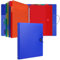 Uquelic Classeur avec 12 Pochettes Perforées pour Documents Format A4 - Pochette Plastique, Trieur Document Pochette Plastique A4 avec Rabat - Maison/Bureau (Bleu)
