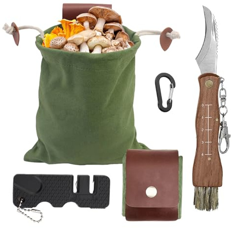 ALKNOT Pilzmesser mit Bürste und Lineal, Klappmesser, Tragbares Pilzmesser Set, Trüffel Taschenmesser mit Schlüsselring, Tasche Edelstahl Trüffel, Pilzmesser Set Geschenk für Pilzsammler