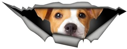 Autoaufkleber Jack Russell Terrier Aufkleber 18cm(7.1 Inch) Jack Russell Terrier Car Sticker 3D Zerrissen Aufkleber Lustig Jack Russell Terrier Reflektierende Aufkleber Stoßstange Wasserdichte Dekor