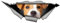 Autoaufkleber Jack Russell Terrier Aufkleber 18cm(7.1 Inch) Jack Russell Terrier Car Sticker 3D Zerrissen Aufkleber Lustig Jack Russell Terrier Reflektierende Aufkleber Stoßstange Wasserdichte Dekor