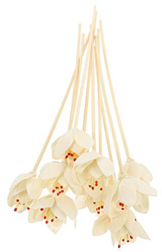 Garneck 10pezzi Bastoncini Diffusore Aromaterapia Bastoncini Profumati Sostituibili Per Oli Essenziali Accessori Decorativi Fiore Per Diffusori Bastoncino Per Casa e Ufficio