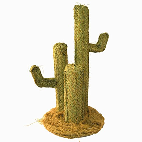 Bicoca Senda ARTESANA Cactus de Esparto