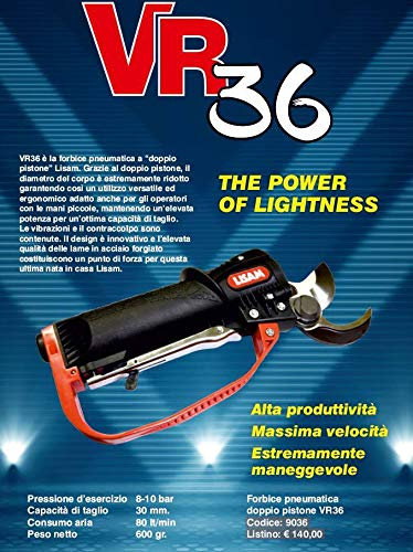 LISAM LISAM 36 - Tijeras para árboles (neumáticas, diseño de frutas y frutas), color rojo