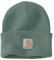 Carhartt Bekleidung Beanie Leaf Green 0