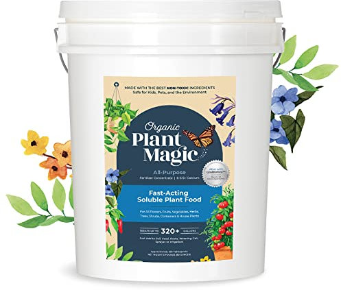 Bio Plante magique Instant Compost à thé – 100% bio Engrais – Facile d'utilisation