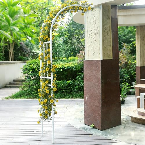 Dexinhdh Arche De Jardin Latérale, Treillage Métallique pour Plantes Grimpantes, Conception Modulaire, Grande Arche Décorative pour Jardin, Idéale pour Les Fleurs, Les Légumes(White,210cm)