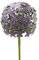 finehomegarden Metall | Gartenstecker | 16x16cm klein | Violett | Gartendeko | Rankhilfe Allium