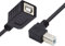 CY USB 2.0 B Type Male to Female Extension Cable Up Angled 90 Degree 20cm for Printer Scanner Disk