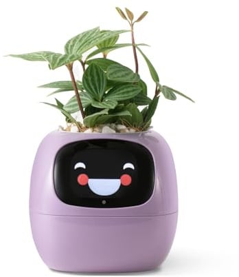 PLANTSIO Maceta inteligente Ivy para decoración del hogar, plantas compañeras, elegante configuración de escritorio, regalo, maceta para mascotas en el hogar, robot de orientación en el cuidado de