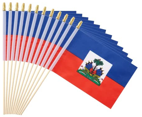 Ckexin Haiti-Flagge, klein, 25 Stück
