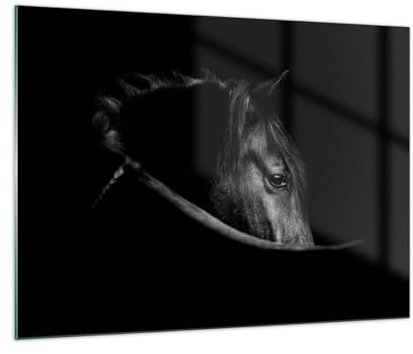Bilder auf Glas Pferd Tier Künstlerisch Glasbild 70x50cm Wandbilder Dekoration Wohnzimmer Schlafzimmer Küche Deko Klein Wanddeko Bild im Glas Wand Kunstdruck Art Modern Wall Decor GAA70x50-5492
