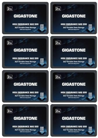 Gigastone SSD 2TB NAS SSD Disco (set da 8) 24/7 Alta Resistenza TLC business RAID Sync Cloud Dati Backup Network Attached Storage Cache SATA III 2,5 Pollici Unità a stato solido interno