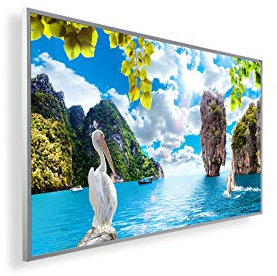 Bild-Infrarotheizung ✓ HD Qualität mit 5 Jahre Herstellergarantie ✓ Tolle Motive ✓ überhitzungsschutz ✓ inkl. Thermostat ✓ 130W ✓ Motiv: 53. Delphine