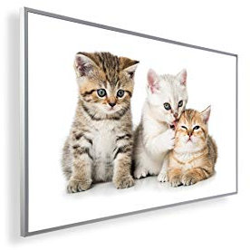 Könighaus 450W Infrarotheizung mit Bild in HD Qualität ✓ inkl. Thermostat ✓ 5 Jahre Garantie ✓ Doppelter überhitzungsschutz ✓ Infrarot Wandheizung ✓ Motiv: 81. Katzen Babys