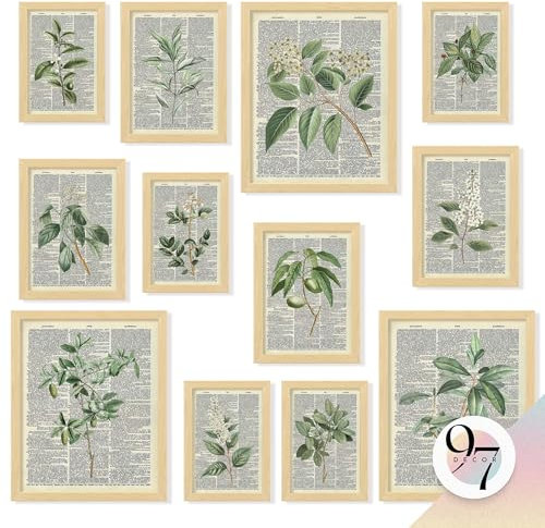 97 Decor Vintage Botanical Wall Art - Retro Green Plant Posters, Unframed Botanical Prints for Home, Bedroom, Office Decor