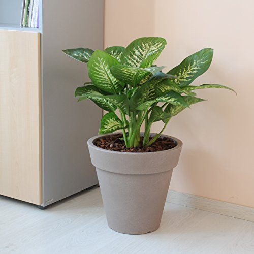 Koll Living Design Topf Pegasus 40 cm - Havana - ideal für Ihren Garten, Terrasse oder Balkon