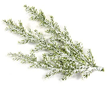 HOBI Verschneite Zypressen-Zweige Weihnachts-Dekoration 3 Stück grün-weiss 10 cm
