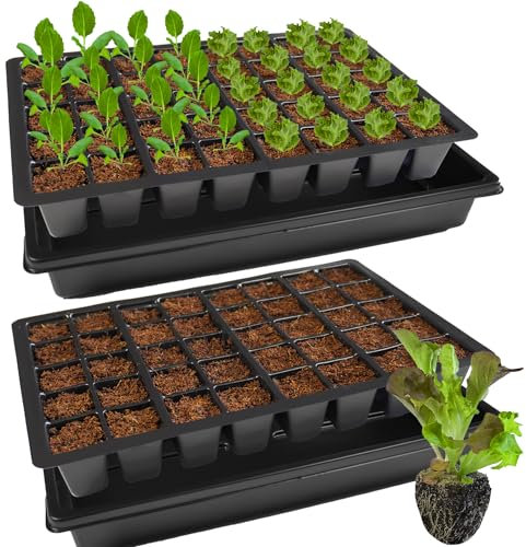 KRONLY Lot de 2 plaques de Culture Solides avec Soucoupe 80 Trous de Plantation - Plaque de semences pour la Culture