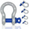 Schäkel geschweift 0,5t - 12t | Schäkel Set Stahl galvanisch verzinkt | 2, 4, 10 Stück | Version Schäkel 0,5t 2 Stück