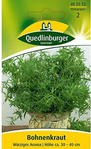 Quedlinburger Bohnenkraut würzig - Satureja hortensis / ideal zum einlegen & würzen / Ernte Juni bis Oktober