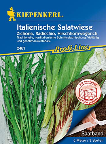 Kiepenkerl 2481 Italienische Salatwiese Saatband (Salatsamen)