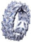 CHABER Zirkonia Brilliant White Gold Farbe Marquise Cut Olivenzweig Big Zirkonia Eheringe Ring Für Damen Schmuck