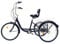 Futchoy 24 Zoll Dreirad Für Erwachsene mit Korb & Rückenlehne Sitz, Damenfahrrad mit 3 Rädern, Geeignet Für Damen, Herren, Senioren (Schwarz)