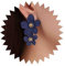 Dervivea Boho Acrílico Pendientes De Flores Doble Flor Gota Grandes Pendientes De Flores Azules Pétalo Floral Cuelgan Pendientes Disy Pendientes De Flores Joyas Para Mujeres Y Niñas