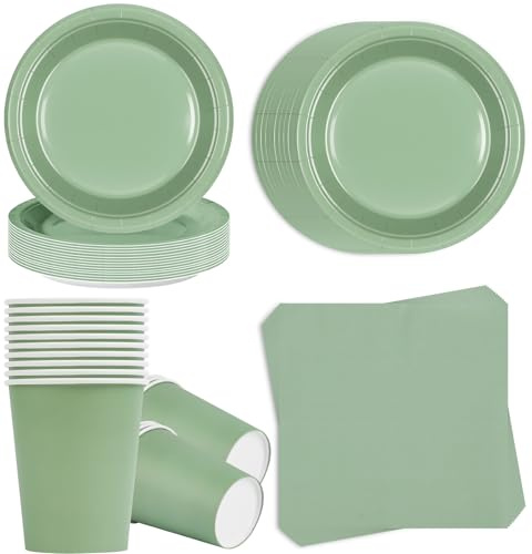Alaoo 96pcs Set di stoviglie per Feste, Set di stoviglie Verde Salvia