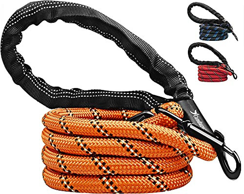 Candure Laisse Chien avec Souples Poignée Rembourrée et Antidérapant Corde pour Chien de Dressage Aux Chiot, Petits, Moyens et Gros Chiens Convient Course à Pied Jogging et Randonnée (Orange)