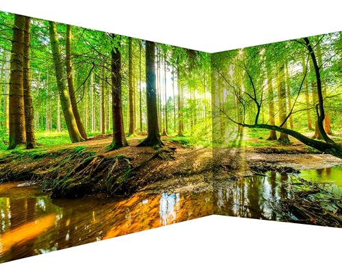 murando PREMIUM Vlies Eckfototapete Wald Landschaft 550x250 cm Tapeten Wandtapete XXL Moderne Fototapete Wanddeko Design Wand Dekoration Wohnzimmer Schlafzimmer Büro Flur Natur Baum grün Sonne