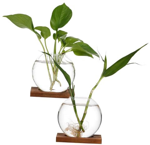 Yardenfun 2 STK kreative Vase Vermehrungsvasen für Pflanzen hydroponisches Pflanzenterrarium Transparente Glasvase Terrarium Glasvase Blumentopf aus Glas Blumenhalter für Tafelaufsätze