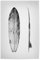 artboxONE Poster 30x20 cm Schwarzweiß Surfboard hochwertiger Design Kunstdruck - Bild Beach California Coastal